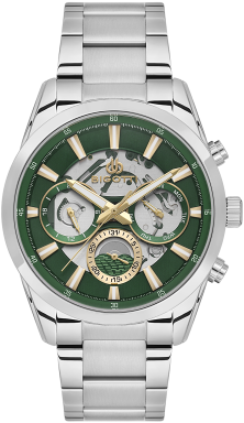 Часы Bigotti Raffinato BG.1.10561-4