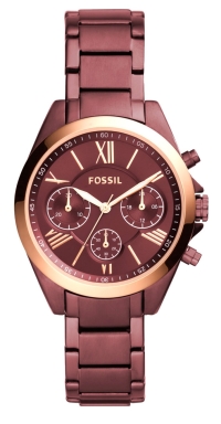 Часы Fossil BQ3281