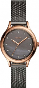 Часы Fossil BQ3393