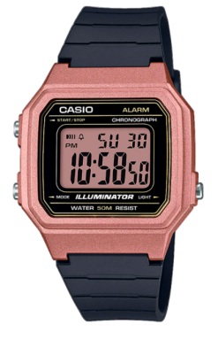 Часы Casio Collection W-217HM-5AVEF