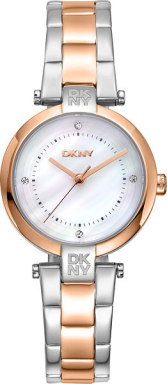 Часы DKNY Essential Mini DK1L043M0095