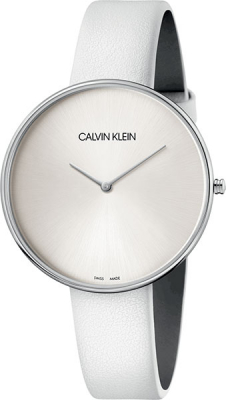 Часы Часы Calvin Klein K8Y231L6