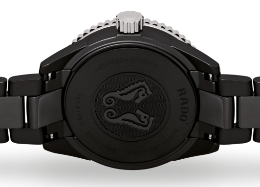 Ceramic diver online