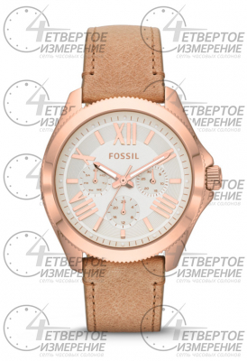 Часы Часы Fossil AM4532