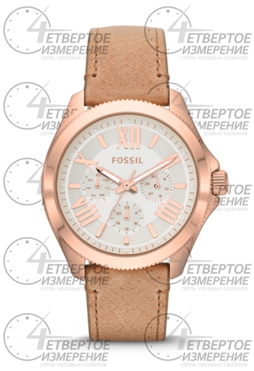 Часы Fossil AM4532