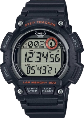 Часы Casio WS-2100H-1A