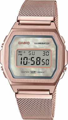 Часы Casio Collection A1000MCG-9E