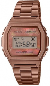 Часы Casio Collection A1000RG-5EF