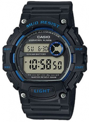 Часы Часы Casio Collection TRT-110H-2AVEF
