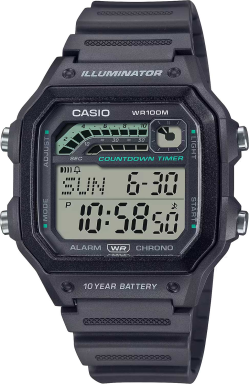 Часы Casio Collection WS-1600H-8A