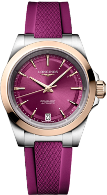 Часы Longines Conquest L3.430.5.98.9